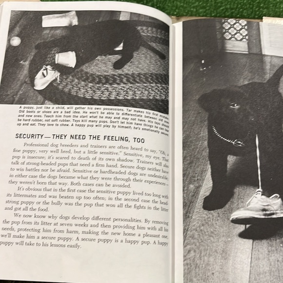 Family Dog by Richard A. Wolters HC/DJ 1975 Book - Picture 9 of 16